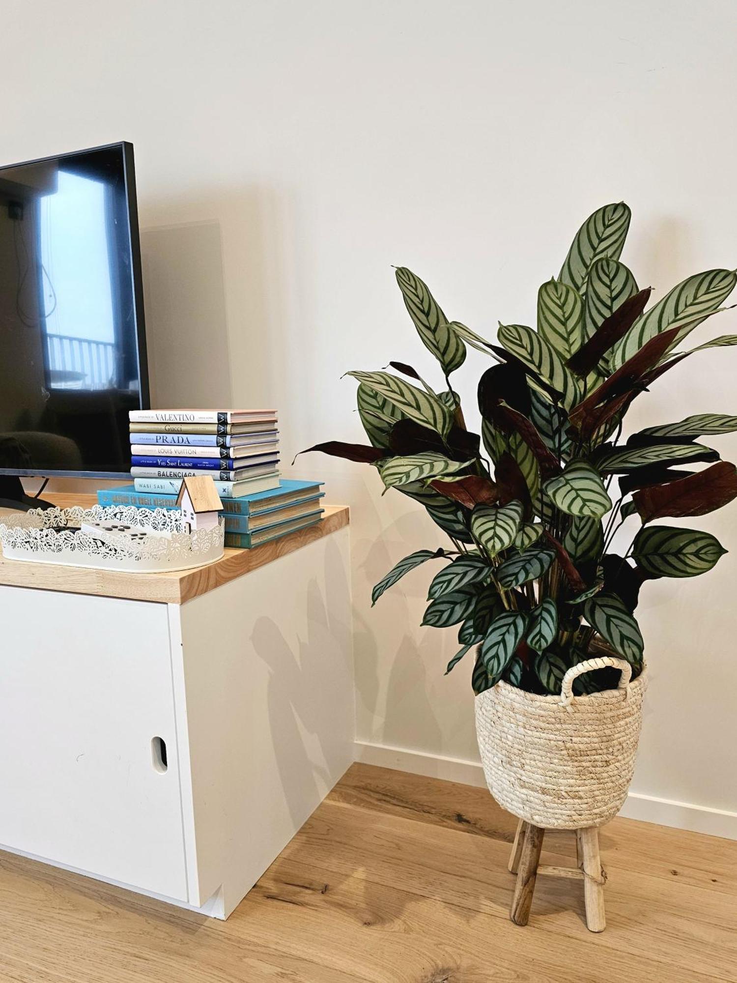 Apartamento Causy Rooftop St. Idesbald *